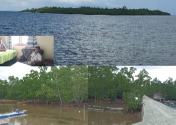 Jurnalis t-media.id  saat mewawancarai Kepala Desa Tete A di Kantornya, dan Foto Konservasi Mangrove. [foto : istimewa]