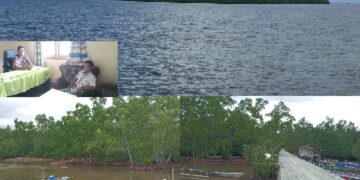 Jurnalis t-media.id  saat mewawancarai Kepala Desa Tete A di Kantornya, dan Foto Konservasi Mangrove. [foto : istimewa]
