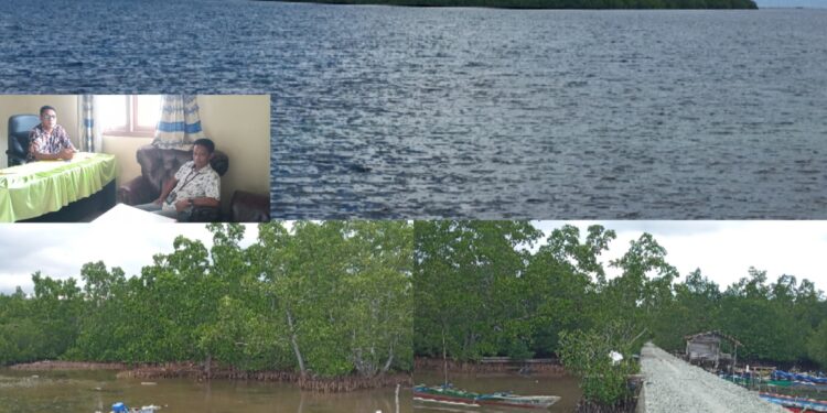 Jurnalis t-media.id  saat mewawancarai Kepala Desa Tete A di Kantornya, dan Foto Konservasi Mangrove. [foto : istimewa]