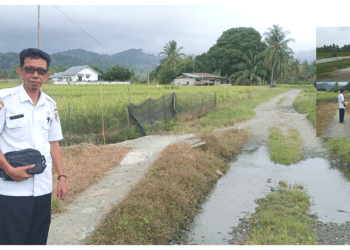 JUT Kawasan Sawah Desa Bantuga
