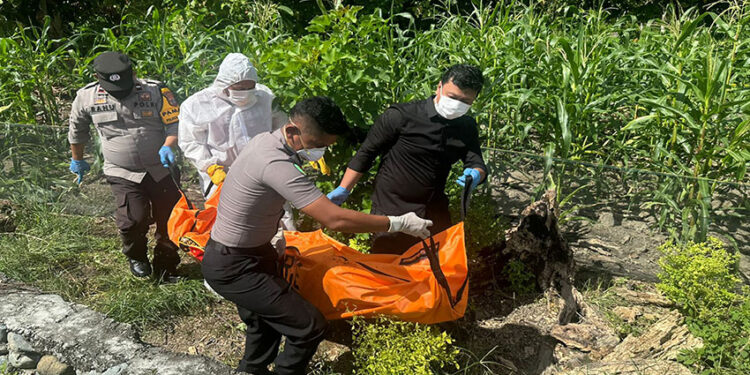 Foto : Evakuasi Penemuan Mayat di area perkebunan Kelurahan Ampana, Kamis (18/12/2025).