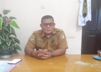 Kepala Desa Sumoli, Zubair U. Siradj “Pemanfaatan Dana Desa 2026 tetap kami jalankan sesuai regulasi, dengan prinsip transparansi dan akuntabilitas. Namun, kapasitas fiskal desa saat ini memang lebih terbatas,” Selasa, (20/1/2026).