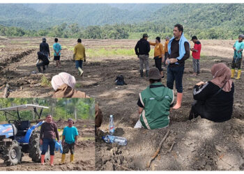 Kepala DKPHP Touna, Ir. Albar Amir, S.T., M.Si., monitoring dan evaluasi. Percetakan sawah di Desa Uematopa, Rabu (12/1/2026)
