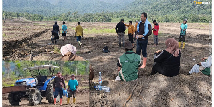 Kepala DKPHP Touna, Ir. Albar Amir, S.T., M.Si., monitoring dan evaluasi. Percetakan sawah di Desa Uematopa, Rabu (12/1/2026)