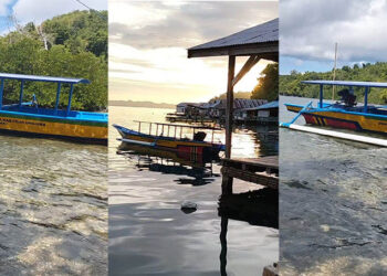 Bantuan alat transportasi laut berupa perahu sekolah yang bersumber dari Dinas Pendidikan Kabupaten Tojo Una-Una Tahun Anggaran 2025