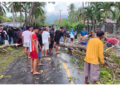 Pengendara Motor Meninggal di Tempat Usai Tertimpa Pohon di Jalan Trans Sulawesi, Dusun I Desa Tete A. Minggu, 19 April 2026