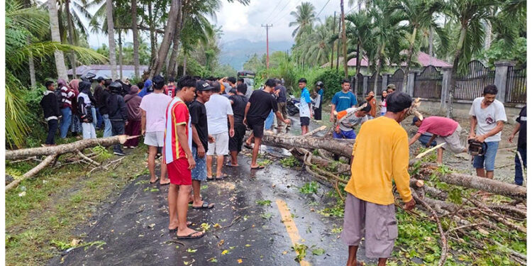 Pengendara Motor Meninggal di Tempat Usai Tertimpa Pohon di Jalan Trans Sulawesi, Dusun I Desa Tete A. Minggu, 19 April 2026