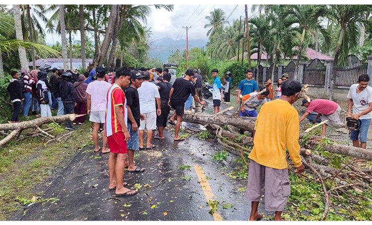 Pengendara Motor Meninggal di Tempat Usai Tertimpa Pohon di Jalan Trans Sulawesi, Dusun I Desa Tete A. Minggu, 19 April 2026