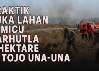 Editor : t-media.id