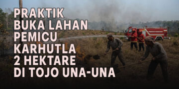 Editor : t-media.id