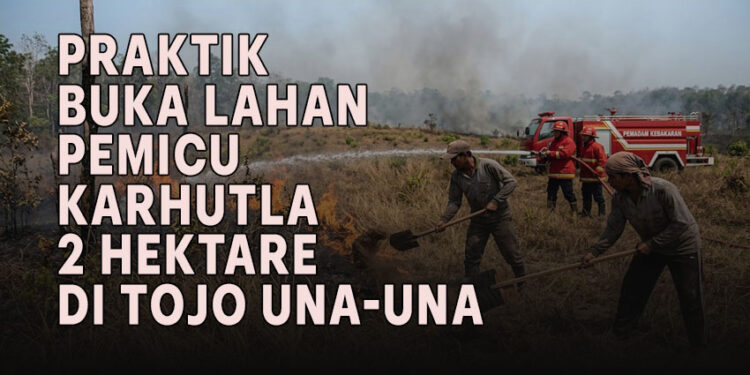 Editor : t-media.id