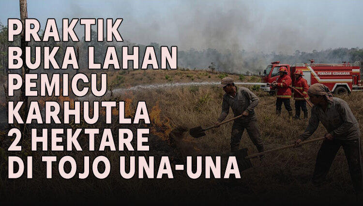 Editor : t-media.id