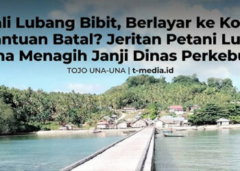 Foto : Istimewah