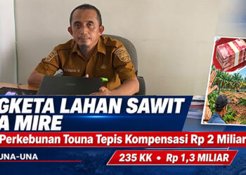 Sekretaris Dinas Perkebunan Kabupaten Tojo Una-Una, Desi Anwar Kandupi, S.T. saat ditemui awak media di ruang kerjanya, Senin, 5 Oktober 2026.